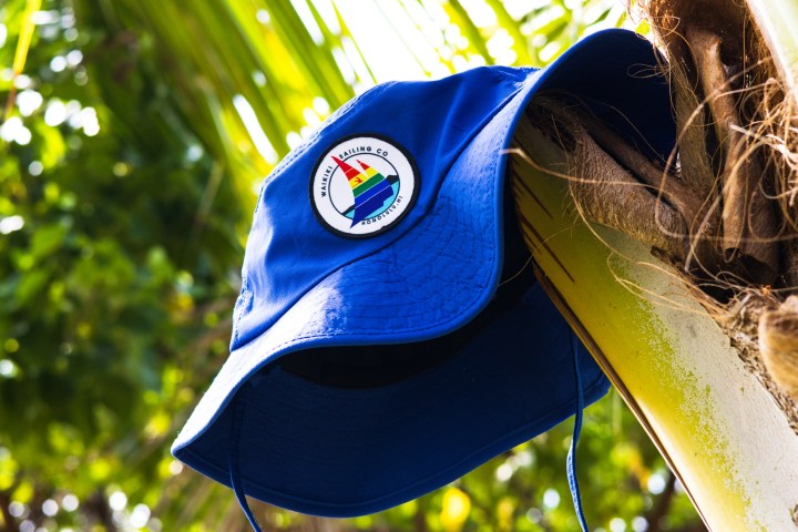 Blue hat with sailing logo hanging on palm tree, green foliage background.