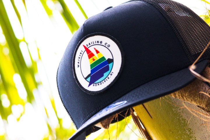 Black cap with rainbow logo on palm tree trunk, sunny background.